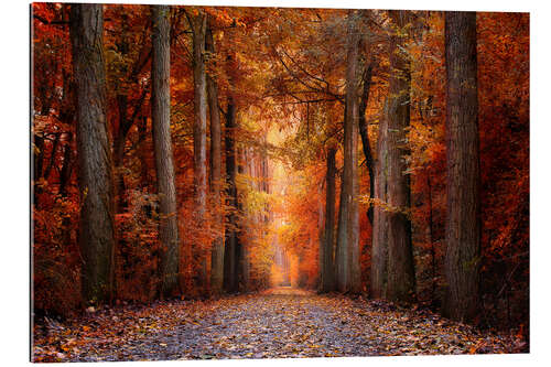 Gallery Print Red Forest