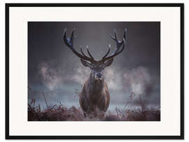 Gerahmter Kunstdruck Ein majestätischer Rotwildhirsch atmet in der Winterluft aus