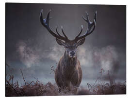 Magnettafel Ein majestätischer Rotwildhirsch atmet in der Winterluft aus