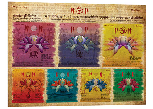 PVC-taulu The Chakras Yoga Print