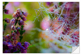 Wall sticker Morning dew on Erica and spider web