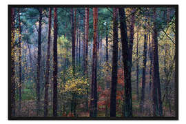 Gerahmter Kunstdruck Bunter Herbstwald