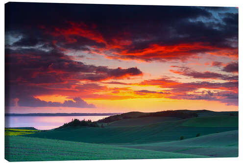 Canvastavla Rolling green hills and lake at sunset