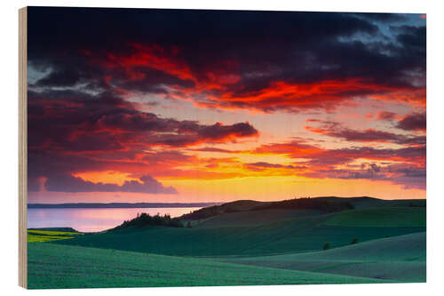 Quadro de madeira Rolling green hills and lake at sunset