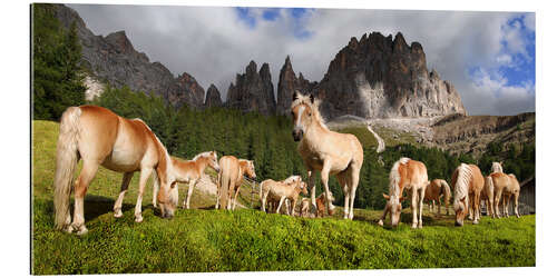 Gallery print Haflinger horses in a meadow in front of the Rosengarten Mountains