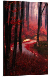 Magnettafel Waldglühen