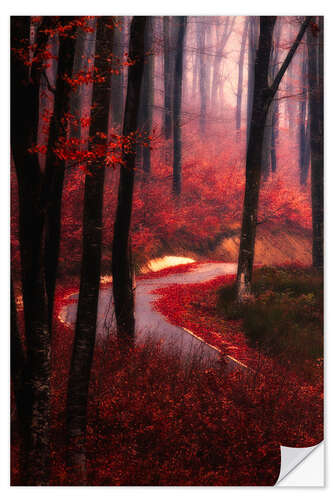 Selvklebende plakat forest glow