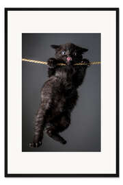 Gerahmter Kunstdruck Cliffhanger statt Stubentiger