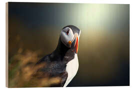 Wood print puffin