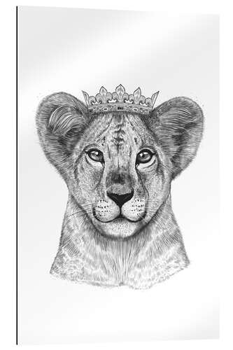 Gallery print The Lion Prince