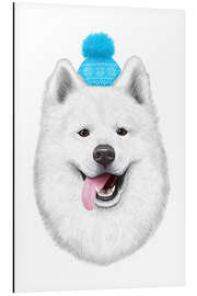 Aluminiumtavla Samoyed with bobble hat