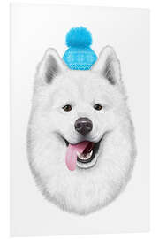 Foam board print Samoyed with bobble hat