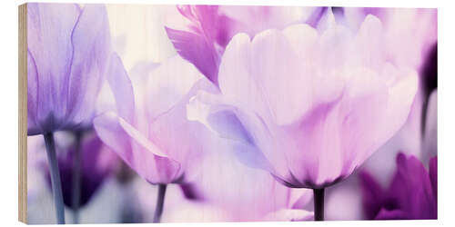 Tableau en bois pastel pink purple tulips