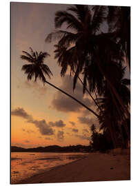 Aluminium print Idyllic island beach