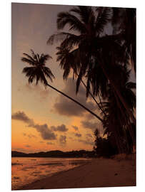 Foam board print Idyllic island beach