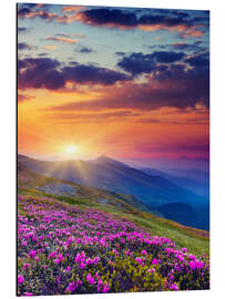 Magnettafel Rhododendronblüte in den Karpaten