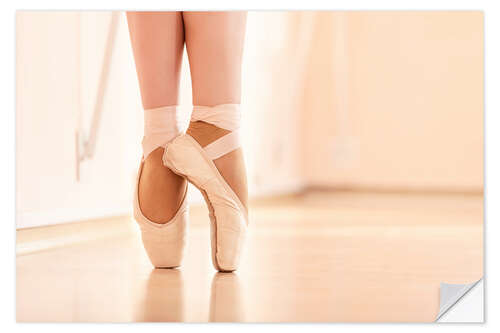 Wall sticker Dancing Ballet Shoes