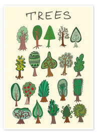 Póster Our tree species