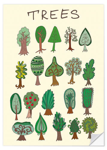 Wall sticker Our tree species