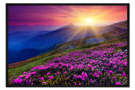 Gerahmter Kunstdruck Rhododendron in den Karpaten