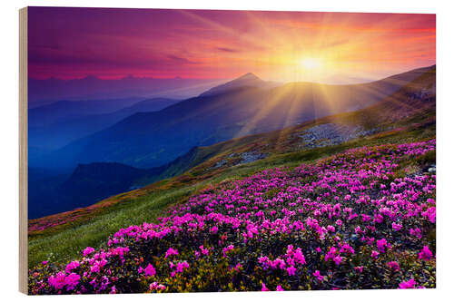 Quadro de madeira Rhododendron in the Carpathians