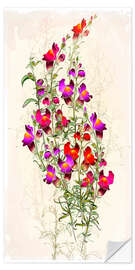 Sticker mural Reddish foxglove