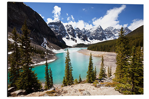 Stampa su alluminio Moraine lake in Canada