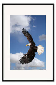 Gerahmter Kunstdruck Freiheit auf Adlerschwingen