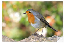 Naklejka na ścianę Cute robin