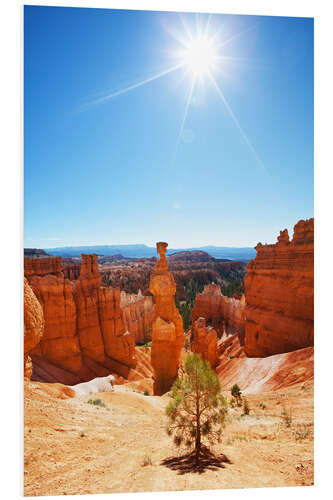 Tableau en PVC Arbuste isolé à Bryce Canyon