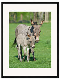 Gerahmter Kunstdruck Esel Mama und ihr Baby