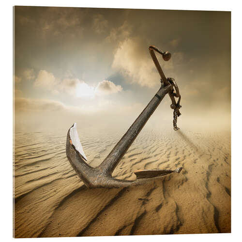 Acrylic print Anchor in the desert