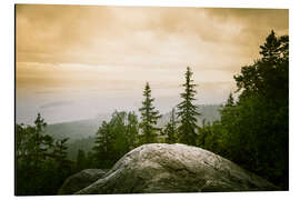 Alumiinitaulu Panorama of Koli National Park