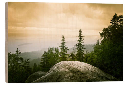 Tableau en bois Panorama of Koli National Park