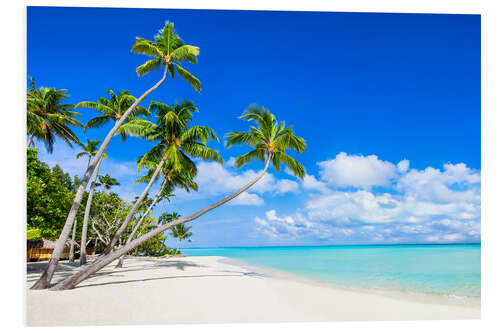 Foam board print White beach and palm trees in the tropics