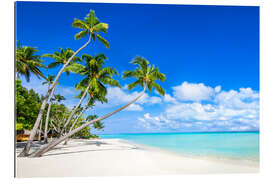 Tableau en plexi-alu Plage blanche et palmiers sous les tropiques