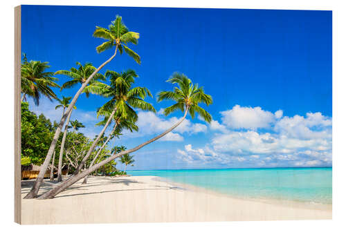 Obraz na drewnie White beach and palm trees in the tropics