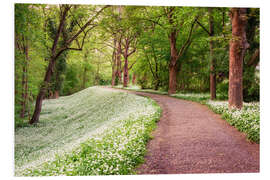 Foam board print Forest path in spring