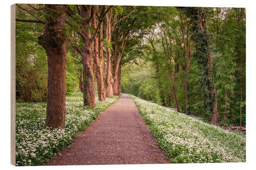 Wood print Forest path through wild garlic meadow