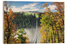 Puutaulu Geierlay Chain Bridge, Hunsrück