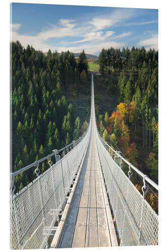 Acrylic print Geierlay Chain Bridge, Hunsrück