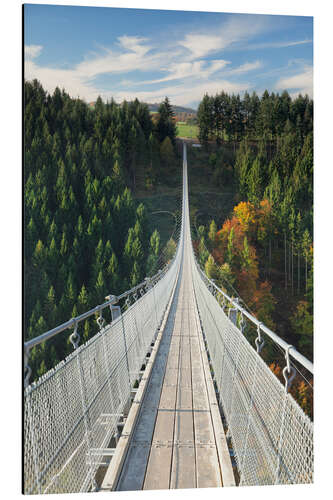 Obraz na aluminium Geierlay Chain Bridge, Hunsrück