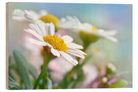 Wood print Beautiful Daisies