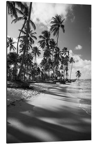 Stampa su alluminio Palme tropicali su una spiaggia brasiliana