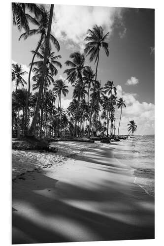 Tableau en PVC Palmiers tropicaux sur une plage brésilienne