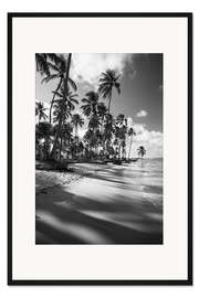 Gerahmter Kunstdruck Tropische Palmen an einem brasilianischen Strand