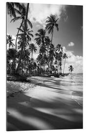 Gallery print Tropical palm trees on a Brazilian beach in black and white