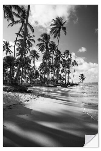 Wall sticker Tropical palm trees on a Brazilian beach