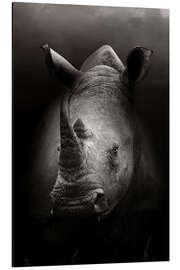 Aluminiumsbilde Rhino portrait