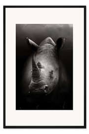 Gerahmter Kunstdruck Nashorn Porträt